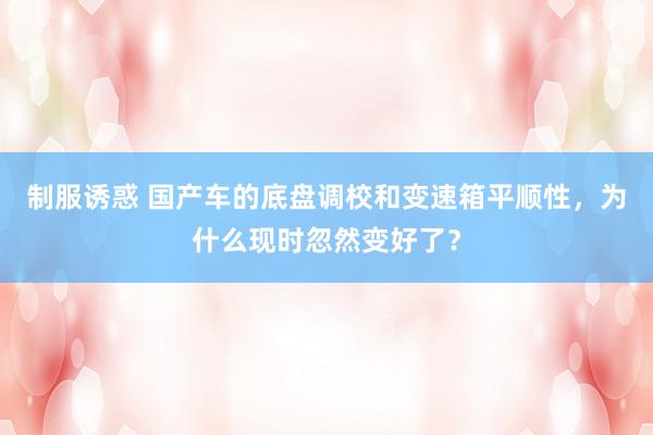 制服诱惑 国产车的底盘调校和变速箱平顺性，为什么现时忽然变好了？