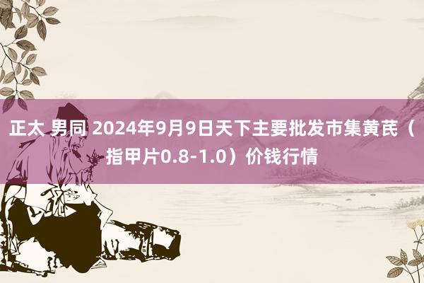 正太 男同 2024年9月9日天下主要批发市集黄芪（指甲片0.8-1.0）价钱行情