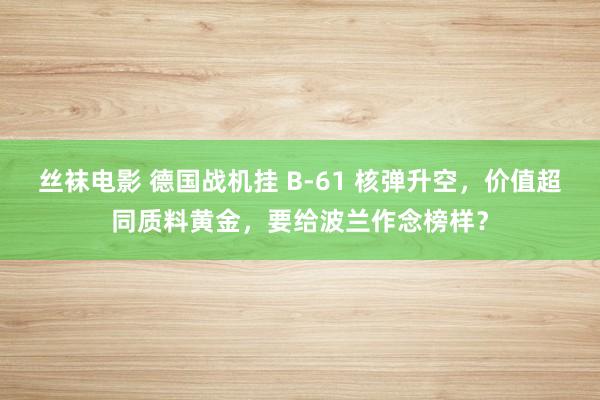 丝袜电影 德国战机挂 B-61 核弹升空，价值超同质料黄金，要给波兰作念榜样？