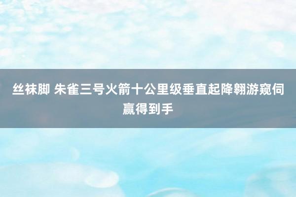 丝袜脚 朱雀三号火箭十公里级垂直起降翱游窥伺赢得到手