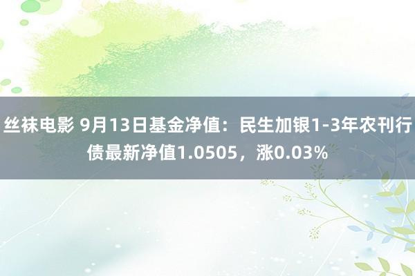 丝袜电影 9月13日基金净值：民生加银1-3年农刊行债最新净值1.0505，涨0.03%