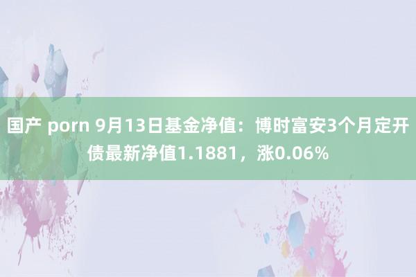 国产 porn 9月13日基金净值：博时富安3个月定开债最新净值1.1881，涨0.06%