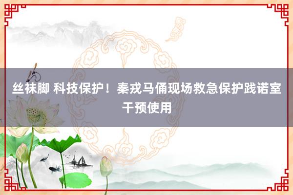 丝袜脚 科技保护！秦戎马俑现场救急保护践诺室干预使用