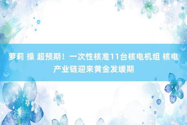 萝莉 操 超预期！一次性核准11台核电机组 核电产业链迎来黄金发缓期