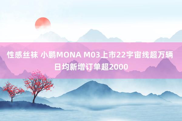 性感丝袜 小鹏MONA M03上市22宇宙线超万辆 日均新增订单超2000