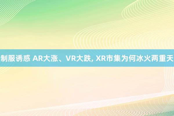 制服诱惑 AR大涨、VR大跌， XR市集为何冰火两重天