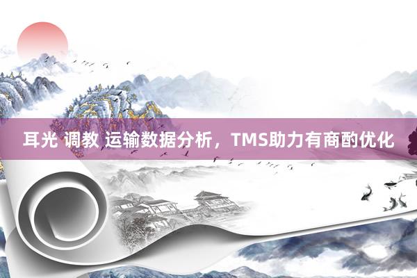 耳光 调教 运输数据分析，TMS助力有商酌优化