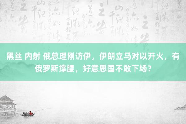 黑丝 内射 俄总理刚访伊，伊朗立马对以开火，有俄罗斯撑腰，好意思国不敢下场？