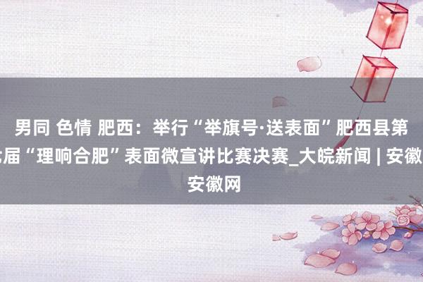 男同 色情 肥西：举行“举旗号·送表面”肥西县第七届“理响合肥”表面微宣讲比赛决赛_大皖新闻 | 安徽网