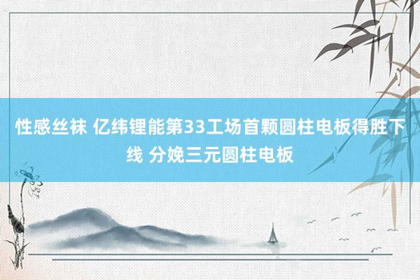 性感丝袜 亿纬锂能第33工场首颗圆柱电板得胜下线 分娩三元圆柱电板