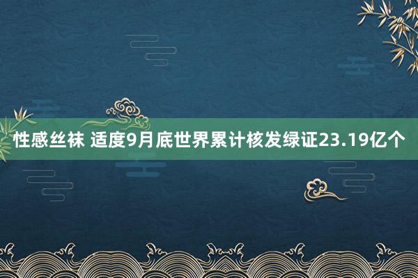 性感丝袜 适度9月底世界累计核发绿证23.19亿个