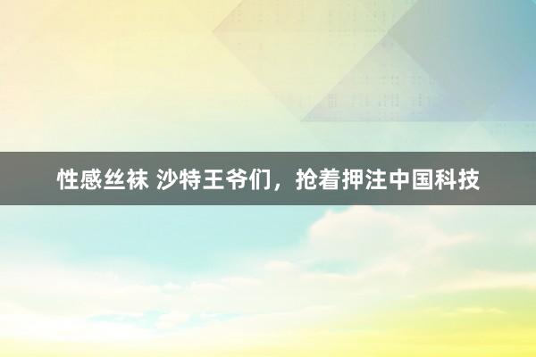 性感丝袜 沙特王爷们，抢着押注中国科技