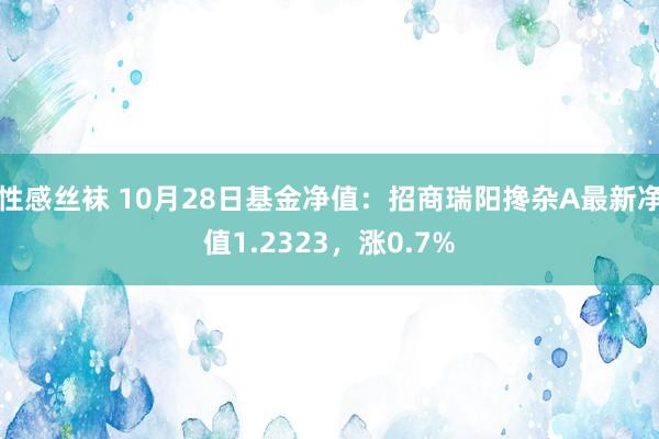 性感丝袜 10月28日基金净值：招商瑞阳搀杂A最新净值1.2323，涨0.7%