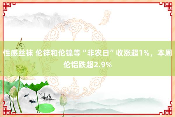 性感丝袜 伦锌和伦镍等“非农日”收涨超1%，本周伦铝跌超2.9%