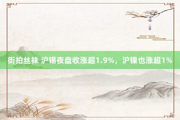 街拍丝袜 沪锡夜盘收涨超1.9%，沪镍也涨超1%