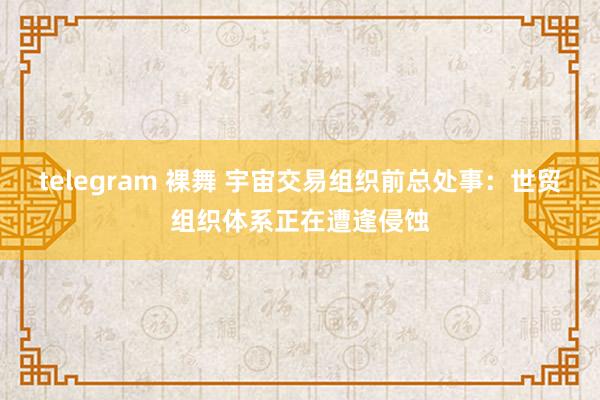 telegram 裸舞 宇宙交易组织前总处事：世贸组织体系正在遭逢侵蚀