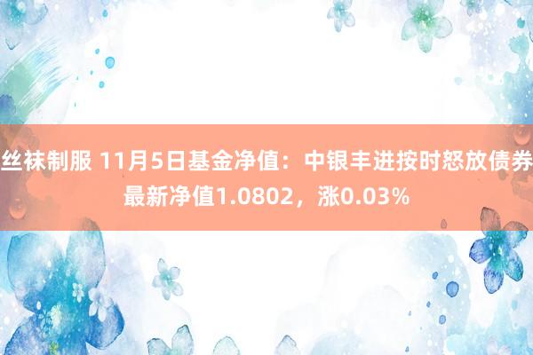 丝袜制服 11月5日基金净值：中银丰进按时怒放债券最新净值1.0802，涨0.03%