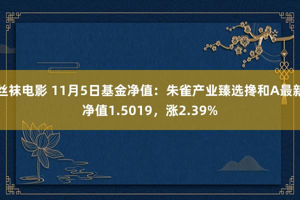 丝袜电影 11月5日基金净值：朱雀产业臻选搀和A最新净值1.5019，涨2.39%