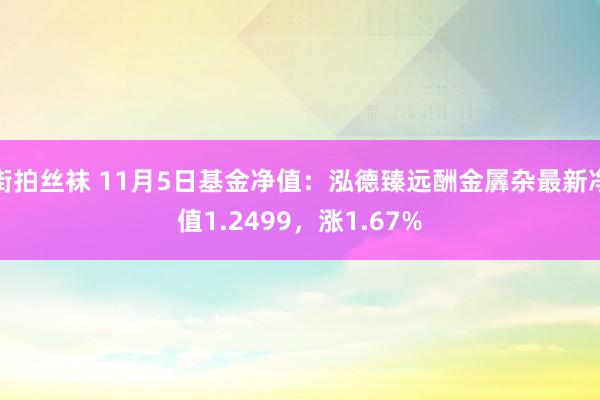 街拍丝袜 11月5日基金净值：泓德臻远酬金羼杂最新净值1.2499，涨1.67%