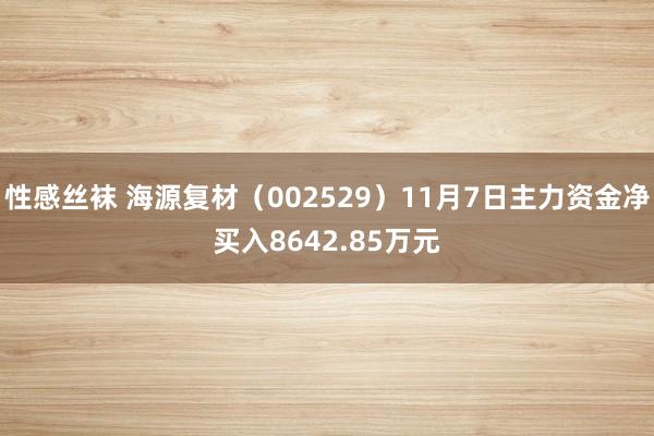 性感丝袜 海源复材（002529）11月7日主力资金净买入8642.85万元