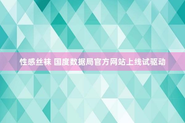 性感丝袜 国度数据局官方网站上线试驱动