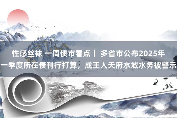 性感丝袜 一周债市看点｜ 多省市公布2025年一季度所在债刊行打算，成王人天府水城水务被警示