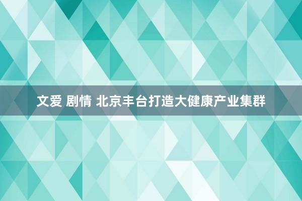 文爱 剧情 北京丰台打造大健康产业集群