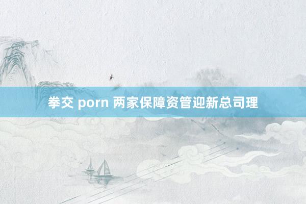 拳交 porn 两家保障资管迎新总司理