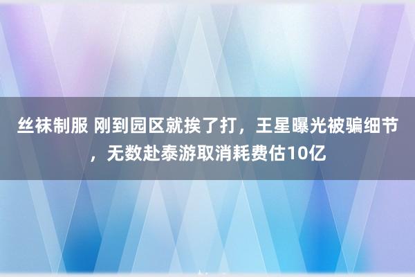 丝袜制服 刚到园区就挨了打，王星曝光被骗细节，无数赴泰游取消耗费估10亿