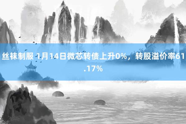 丝袜制服 1月14日微芯转债上升0%，转股溢价率61.17%